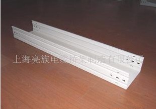 防腐電（diàn）纜橋架